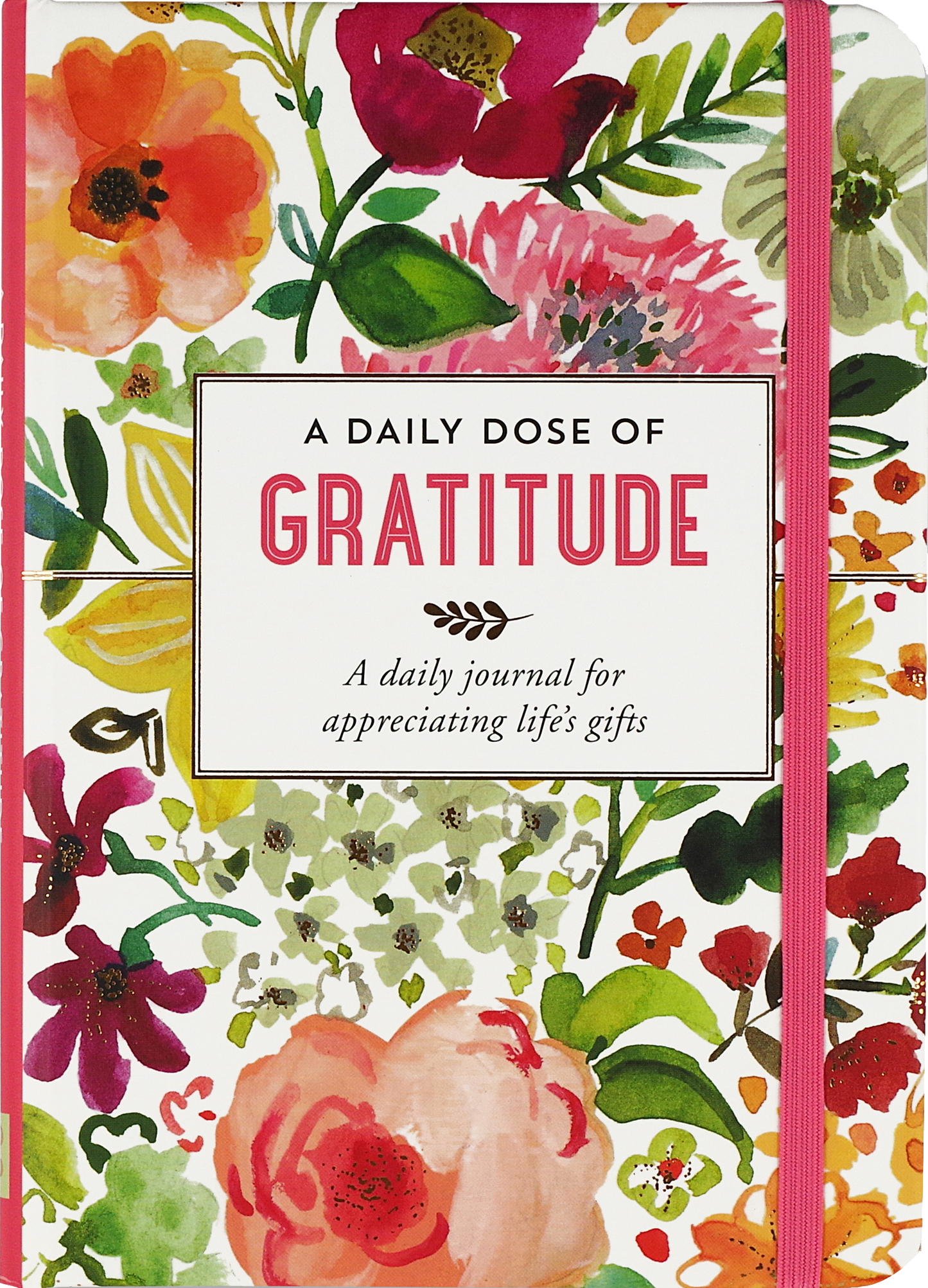 A Daily Dose of Gratitude Journal