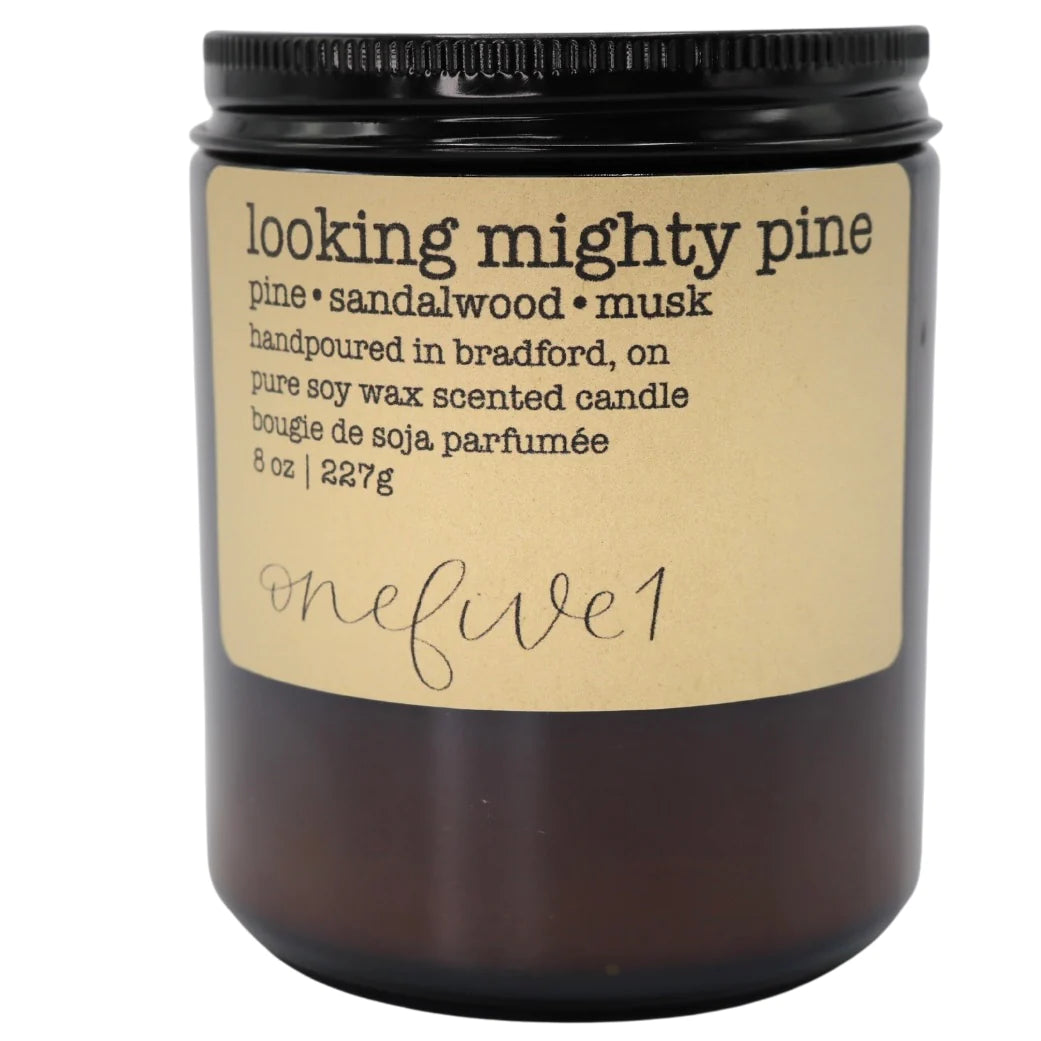 Looking Mighty Pine
