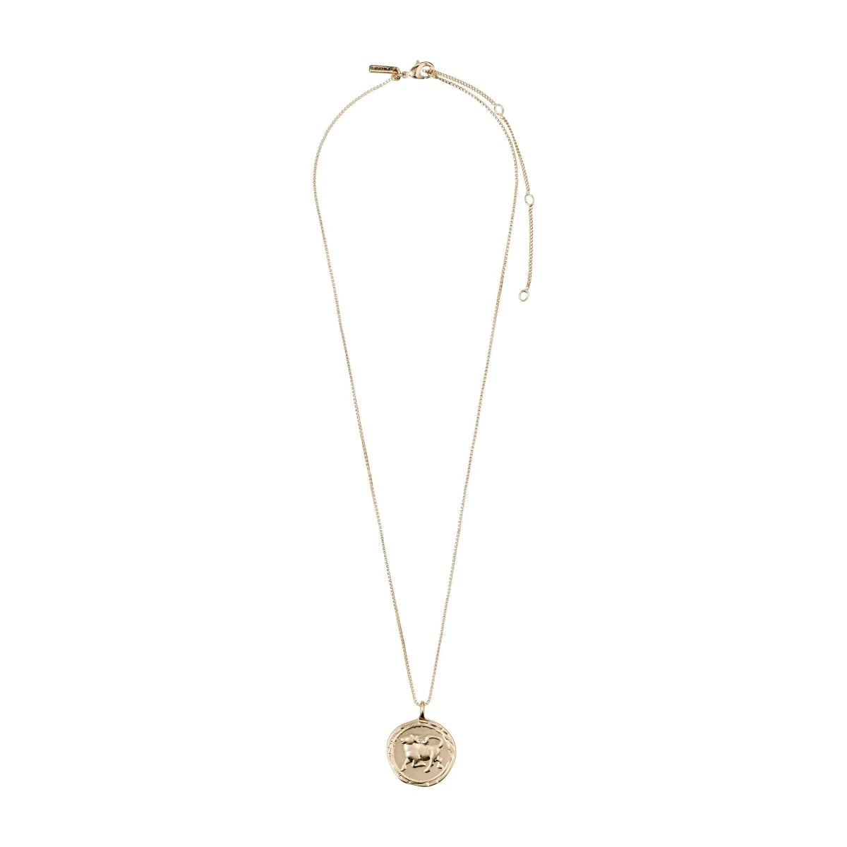 Taurus Horoscope Necklace