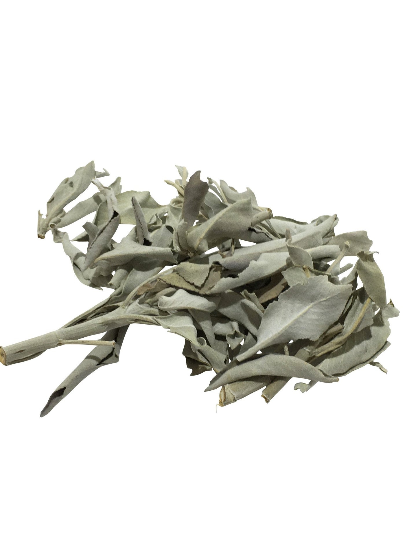 White Sage - Loose-Daylyn