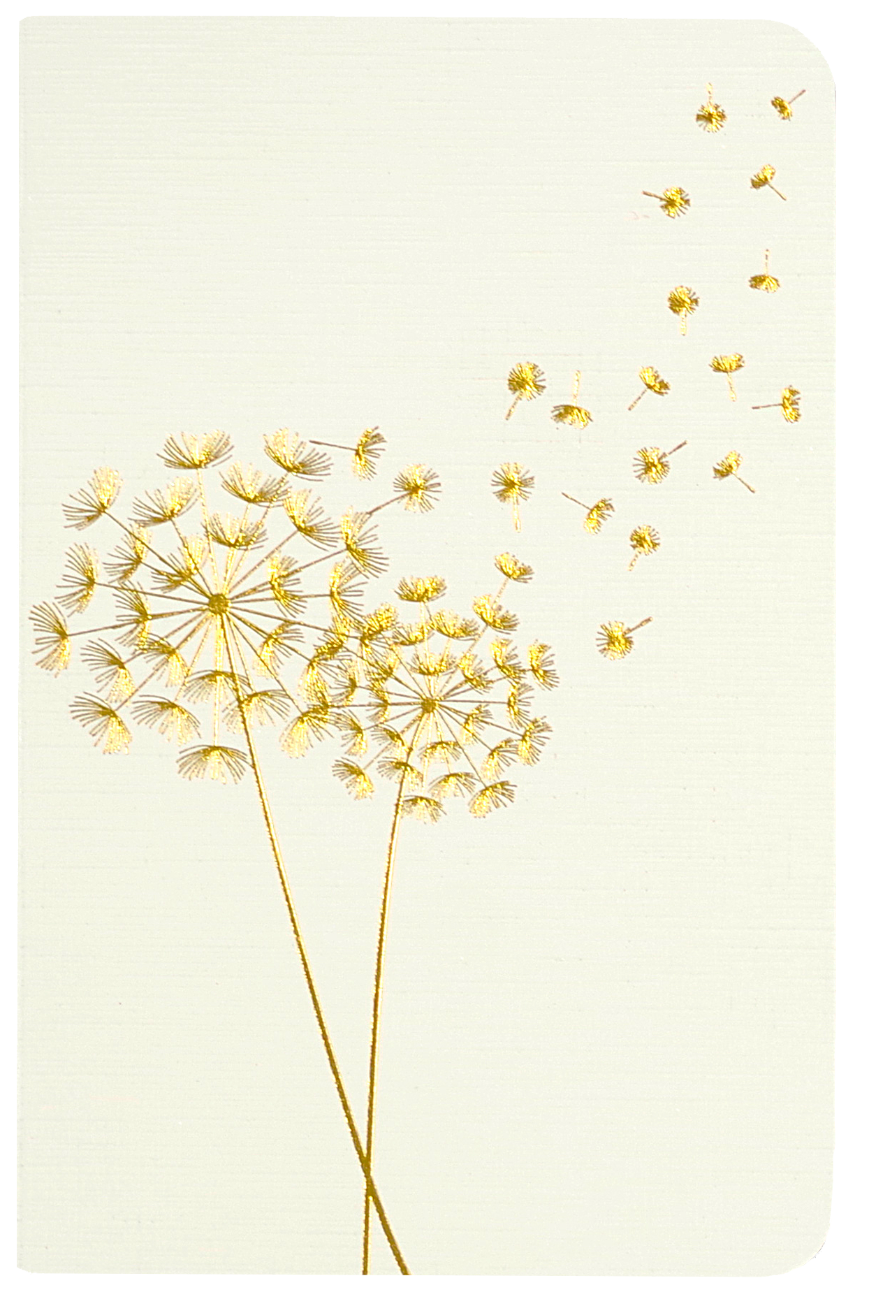 Jotter Mini Notebooks: Dandelion Wishes