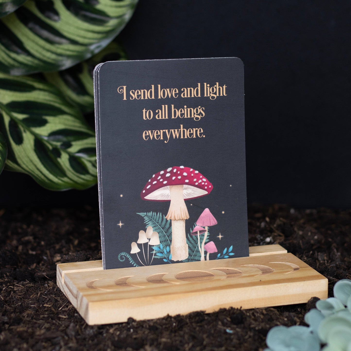 Mystical Mushroom Affirmation Cards with Wooden Stand